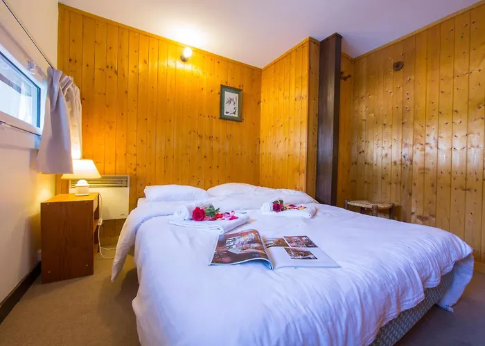 Apartment Residence Grand Roc - Campanules 114 - Happy Rentals Chamonix