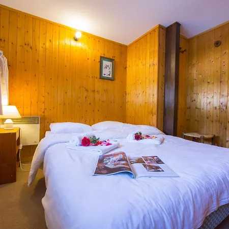 Apartment Residence Grand Roc - Campanules 114 - Happy Rentals Chamonix